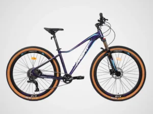 Bicicleta Profit Montana X10 - 10 Velocidades