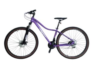 Bicicleta Dallas Purpura