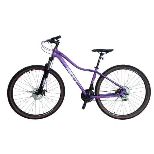 Bicicleta Dallas Purpura